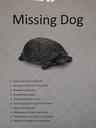 thumbs/missing-dog.jpg